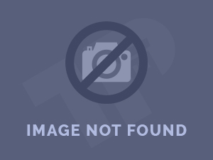 About our school. . .